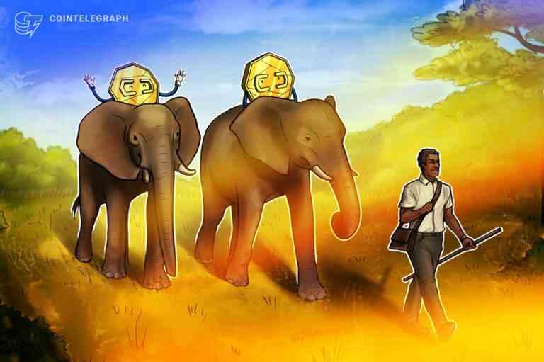 La République centrafricaine envisage un cadre juridique pour l’adoption de la cryptographie