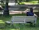 Un homme savoure une boisson dans le parc Trinity Bellwoods de Toronto.