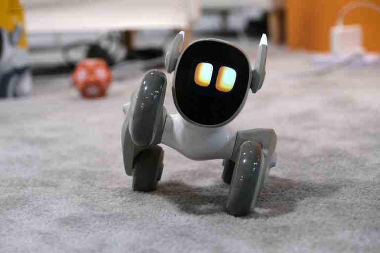 L’adorable petbot Loona est prêt à rouler même dans les cœurs les plus froids