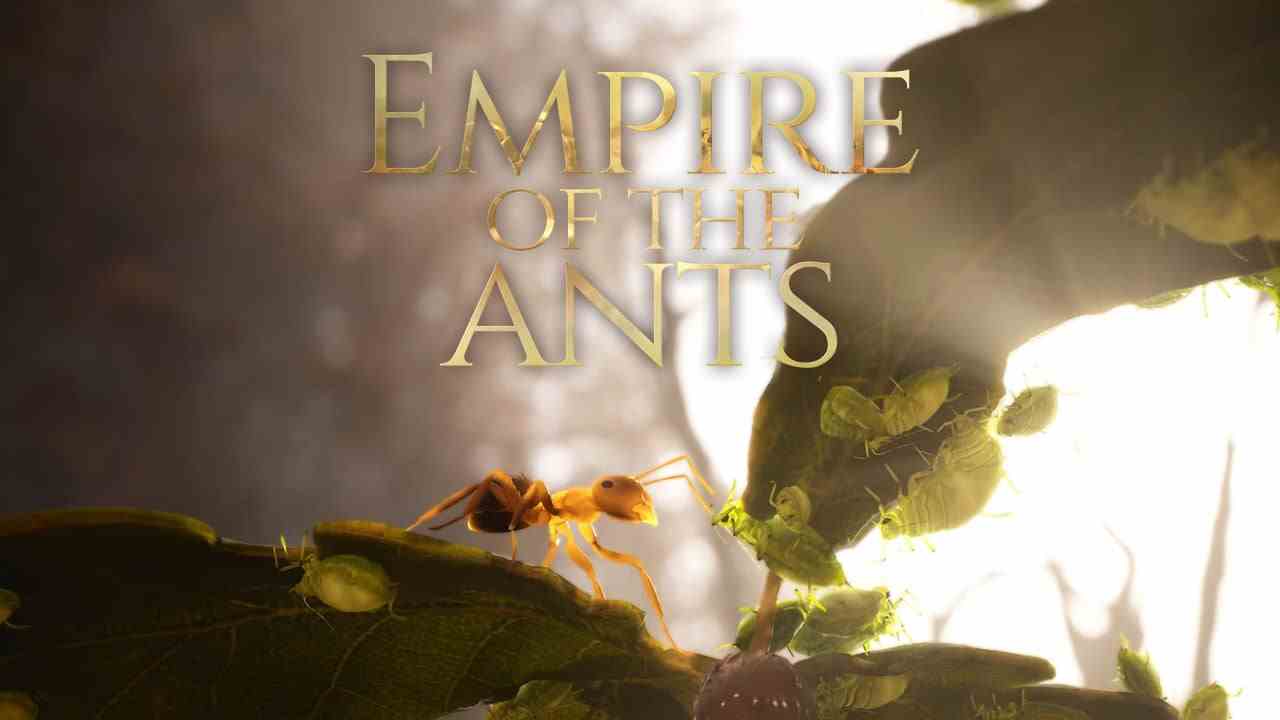 Lancement du jeu Empire of the Ants en 2024 pour consoles, PC    
