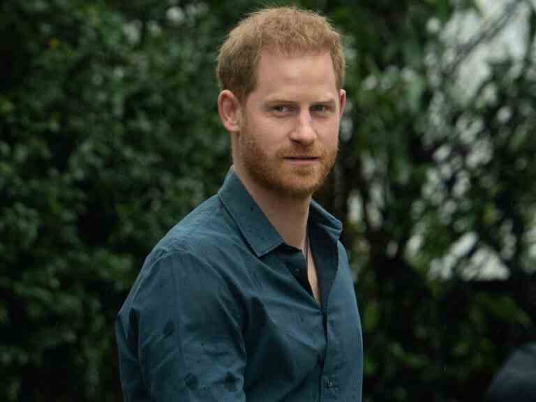 Le prince Harry a eu une «rencontre nue» avec la dominatrice de Vegas: rapport