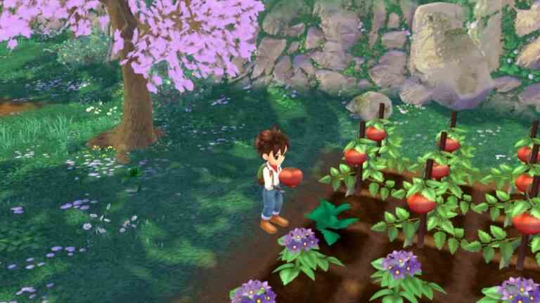 Le remake du bien-aimé Harvest Moon: A Wonderful Life de GameCube sortira dans le monde entier en juin