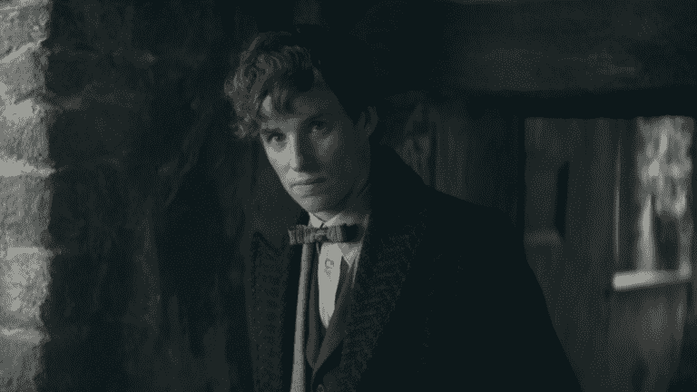 Eddie Redmayne as Newt in The Secrets of Dumbledore