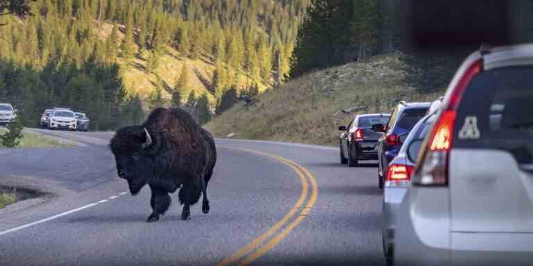 Les politiciens du Wyoming demandent la fin des ventes de véhicules électriques dans l’État en 2035