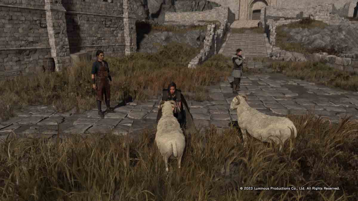 Une image de Frey agenouillée pour nourrir un mouton dans Forspoken.  Le monde a l'air un peu terne - l'herbe a l'air un peu sèche et morte, mais les moutons sont mignons ! 