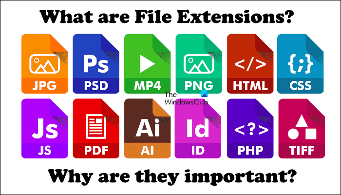 Que sont les extensions de fichiers et pourquoi sont-elles importantes ?