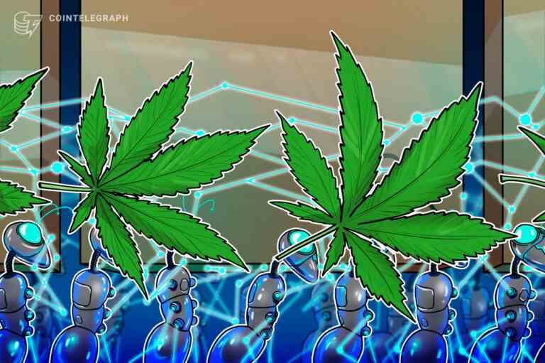 Un producteur de cannabis californien adopte la blockchain pour suivre son herbe