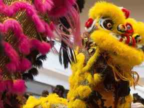 Des danseurs Lions de Hong De Canada se produisent lors des célébrations du Nouvel An lunaire (Année du lapin) au Londonderry Mall à Edmonton le dimanche 15 janvier 2023.