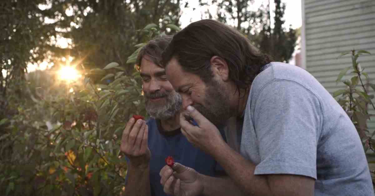 Qu'en est-il des fraises dans l'après-apocalypse ?
