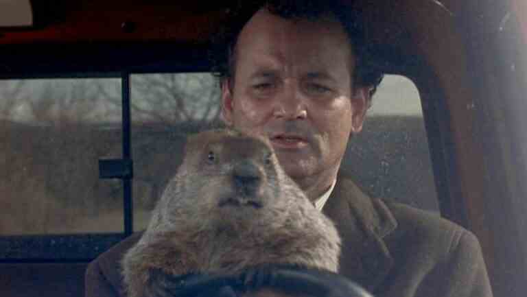 Comment regarder Groundhog Day en ligne et diffuser le film classique de Bill Murray de n’importe où