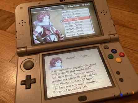 Profil de Sully Fire Emblem Awakening