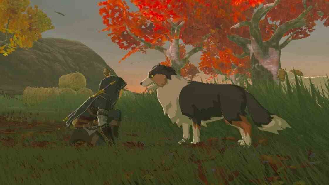 Image: Nintendo - Bien que vous puissiez vous lier d'amitié avec les chiens de Breath of the Wild, vous ne pouvez pas les toucher.