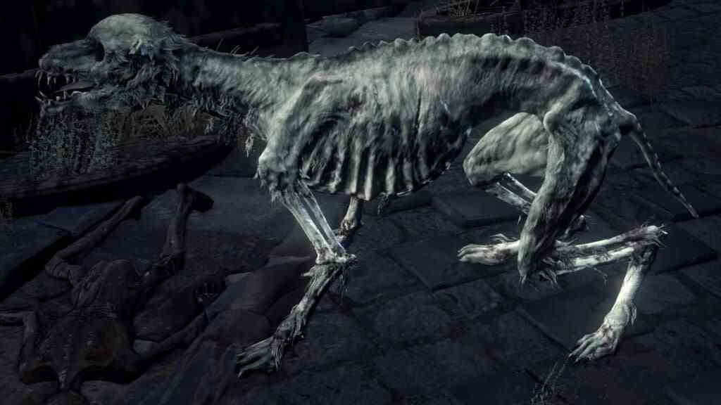 Image : FromSoftware - Même regarder ces chiens de l'enfer suffit à vous envoyer un frisson dans le dos.