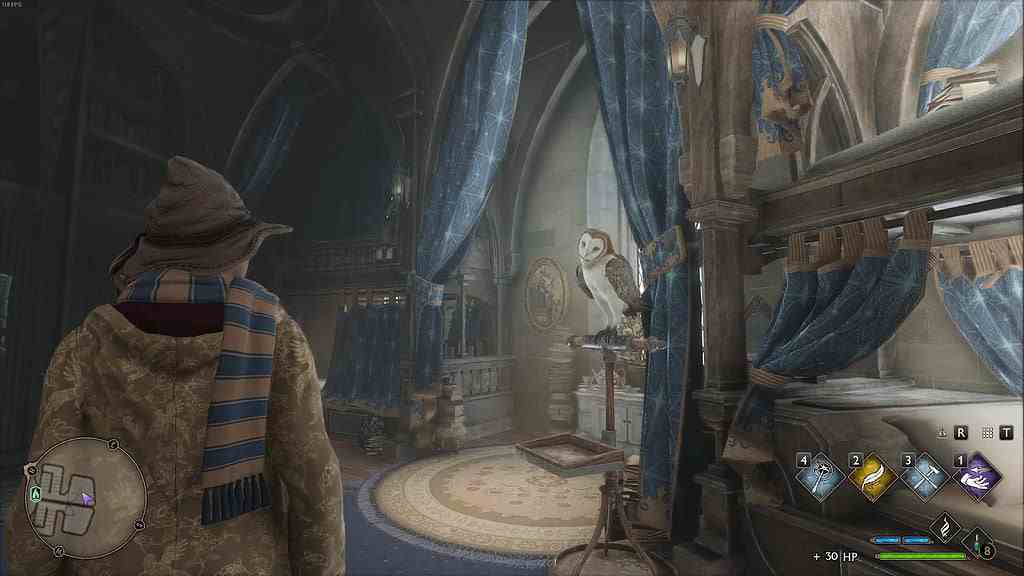 Zone de couchage dans la maison de Serdaigle dans le jeu Hogwarts Legacy avec Owl