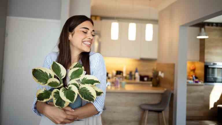 Pourquoi devriez-vous mettre un filtre à café dans votre plante d’intérieur ?