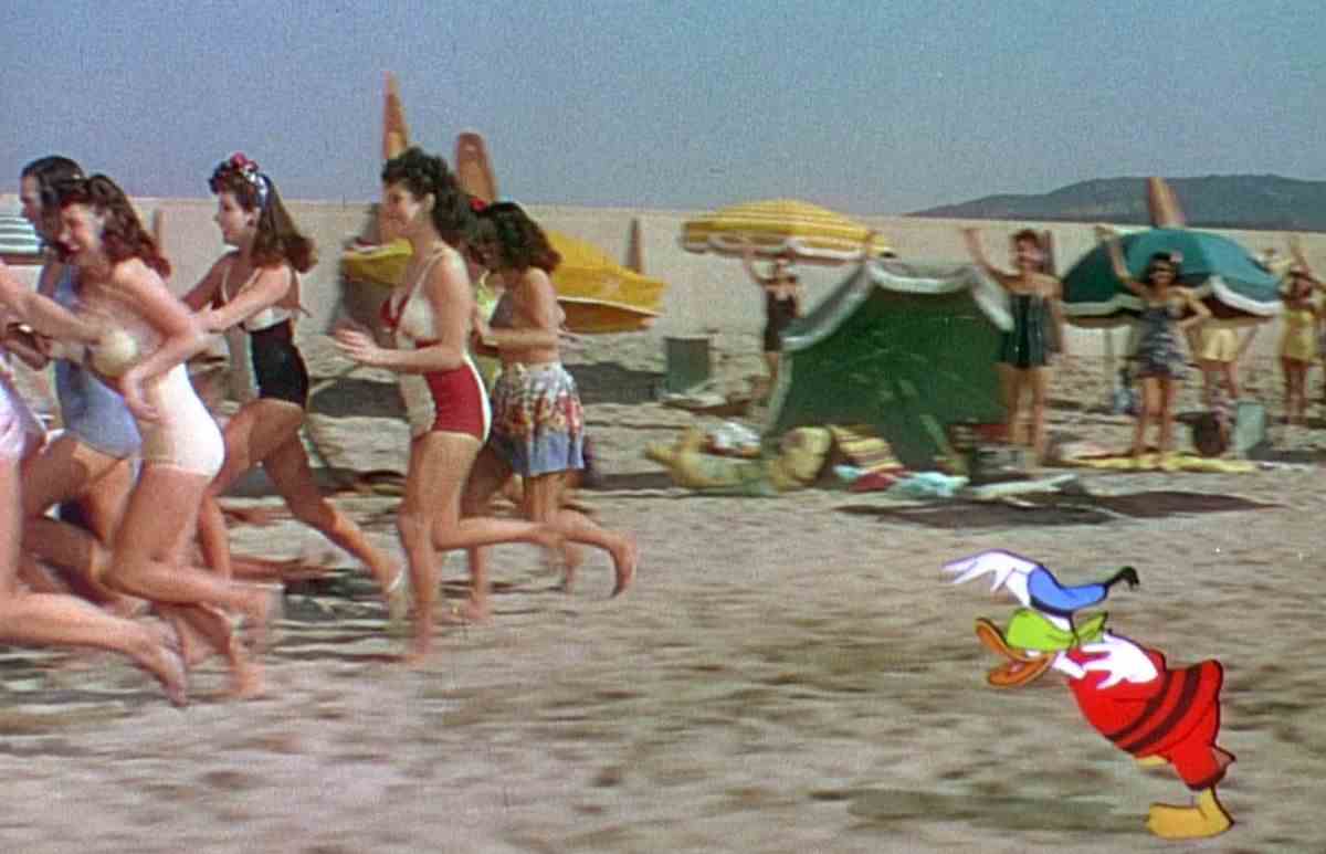 Un Donald Duck aux yeux bandés poursuit des femmes humaines en direct sur une plage d'Acapulco dans The Three Caballeros