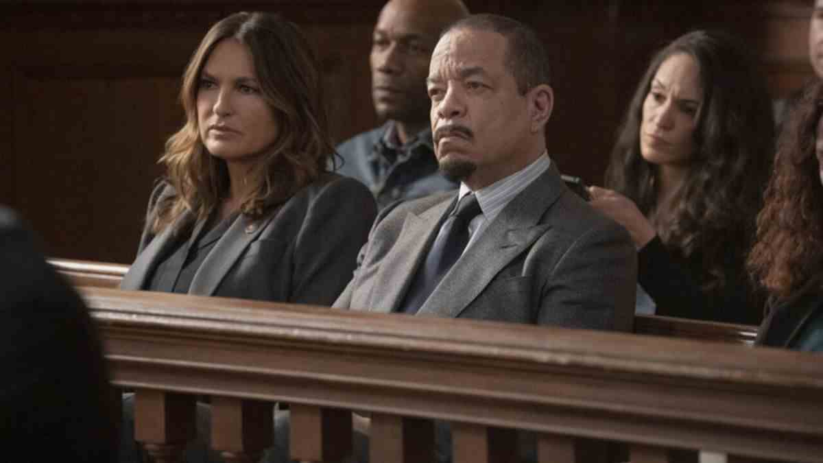 Law & Order SVU Benson and Fin