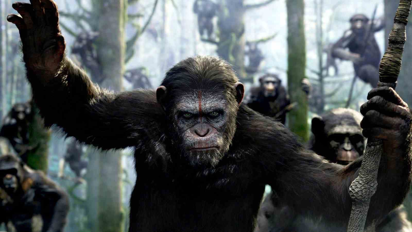 La production du royaume de la planète des singes se termine avec une célébration des singes CGI non rendue
