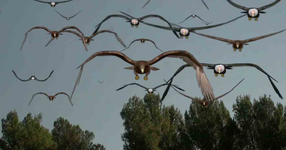 La série d'horreur culte Birdemic reçoit un coffret Blu-ray spécial qui comprend un nouveau troisième film
