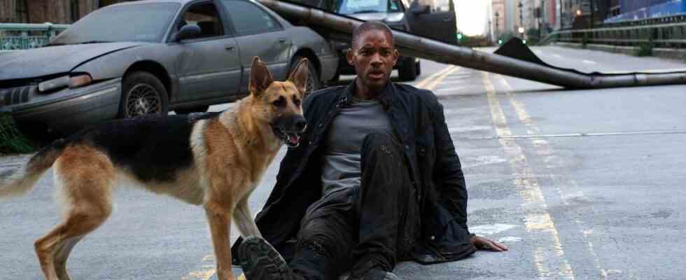 La suite de I Am Legend aura lieu plusieurs décennies après le premier film