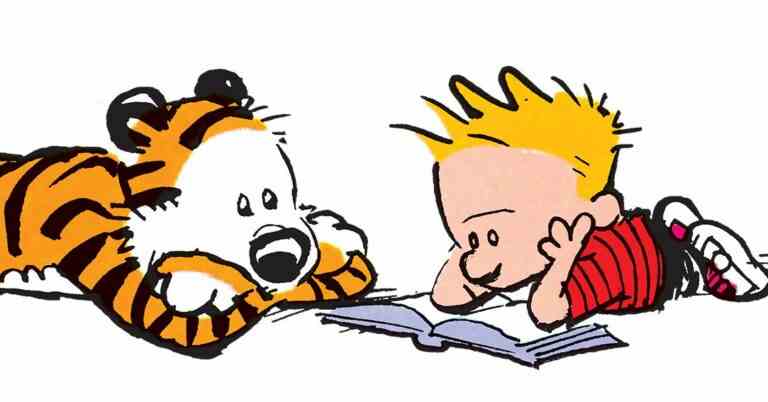 Le créateur de Calvin & Hobbes revient après 28 ans avec un livre illustré "pour adultes"
