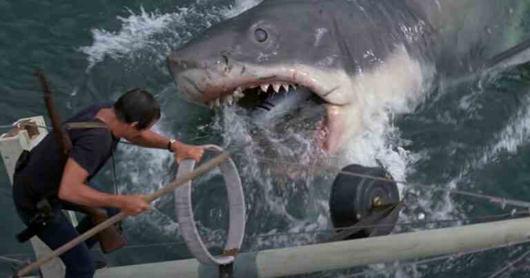 Le directeur de Cocaine Bear commente le film potentiel sur les requins "Jaws With Cocaine"
