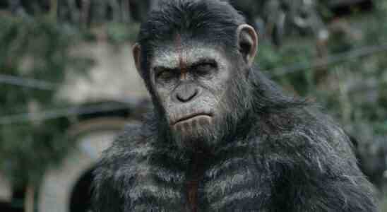 Caesar (Andy Serkis) in Dawn of the Planet of the Apes