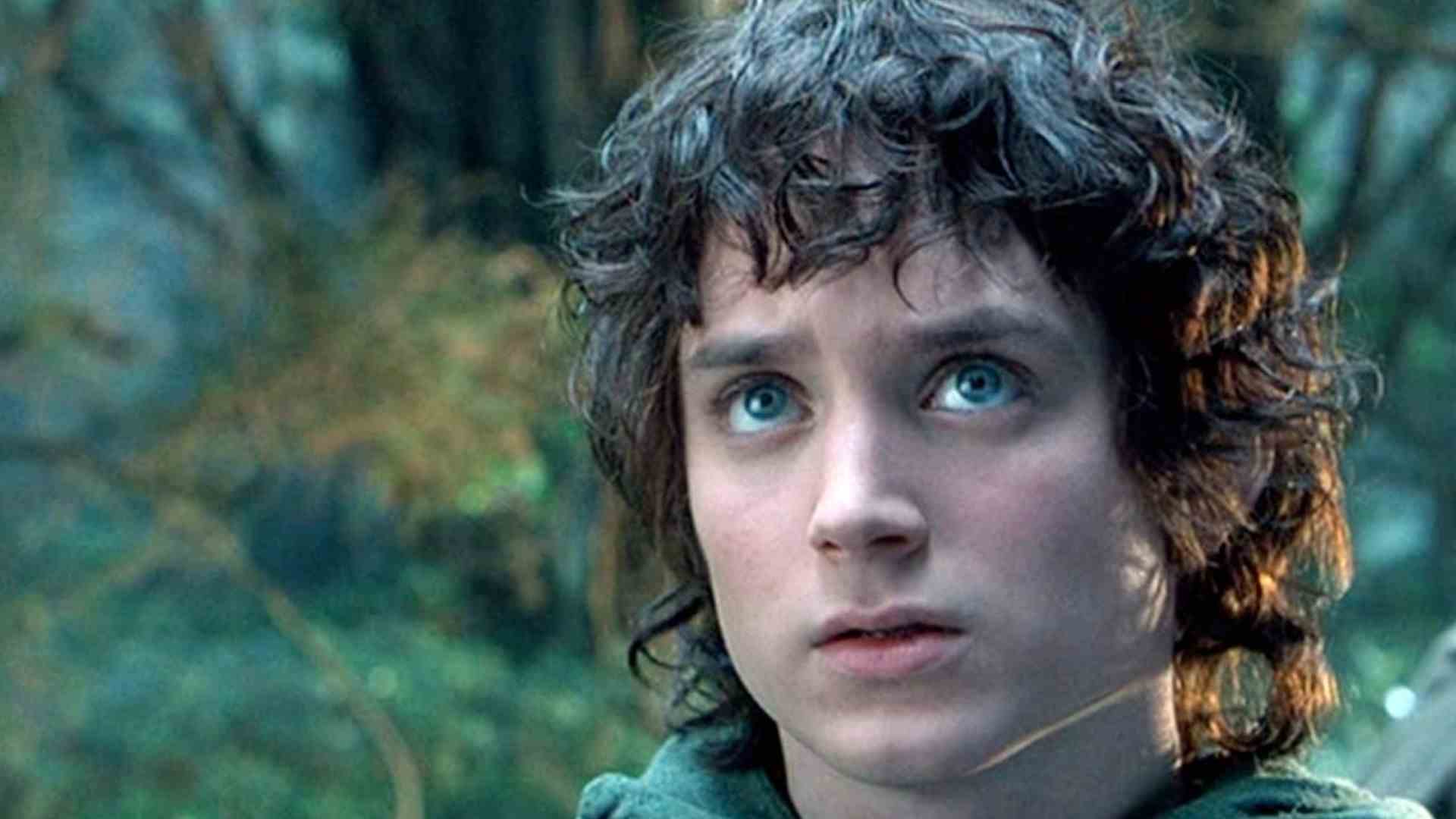 Elijah Wood dans Le Seigneur des Anneaux : La Communauté de l'Anneau