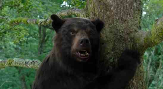 L'un des décès de Cocaine Bear est allé trop loin et pourrait revenir dans une coupe du réalisateur