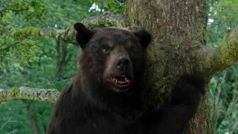 L'un des décès de Cocaine Bear est allé trop loin et pourrait revenir dans une coupe du réalisateur
