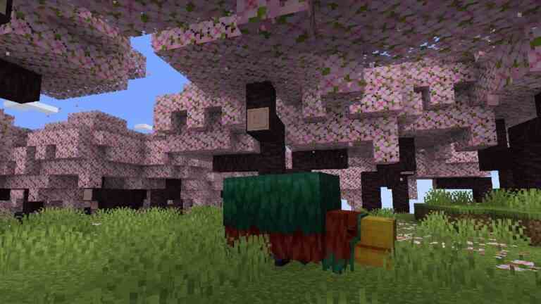 Minecraft présente le nouveau biome Cherry Blossom et Sniffer Mob à partir de la mise à jour 1.20 dans les bandes-annonces
