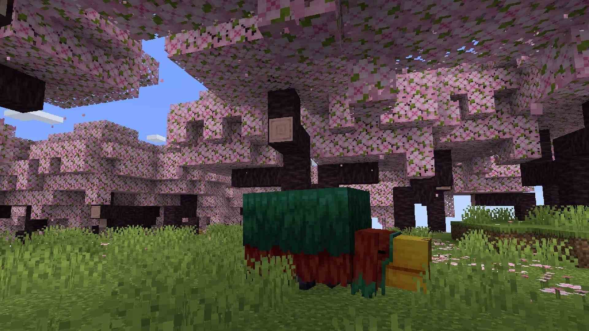 Minecraft présente le nouveau biome Cherry Blossom et Sniffer Mob à partir de la mise à jour 1.20 dans les bandes-annonces
