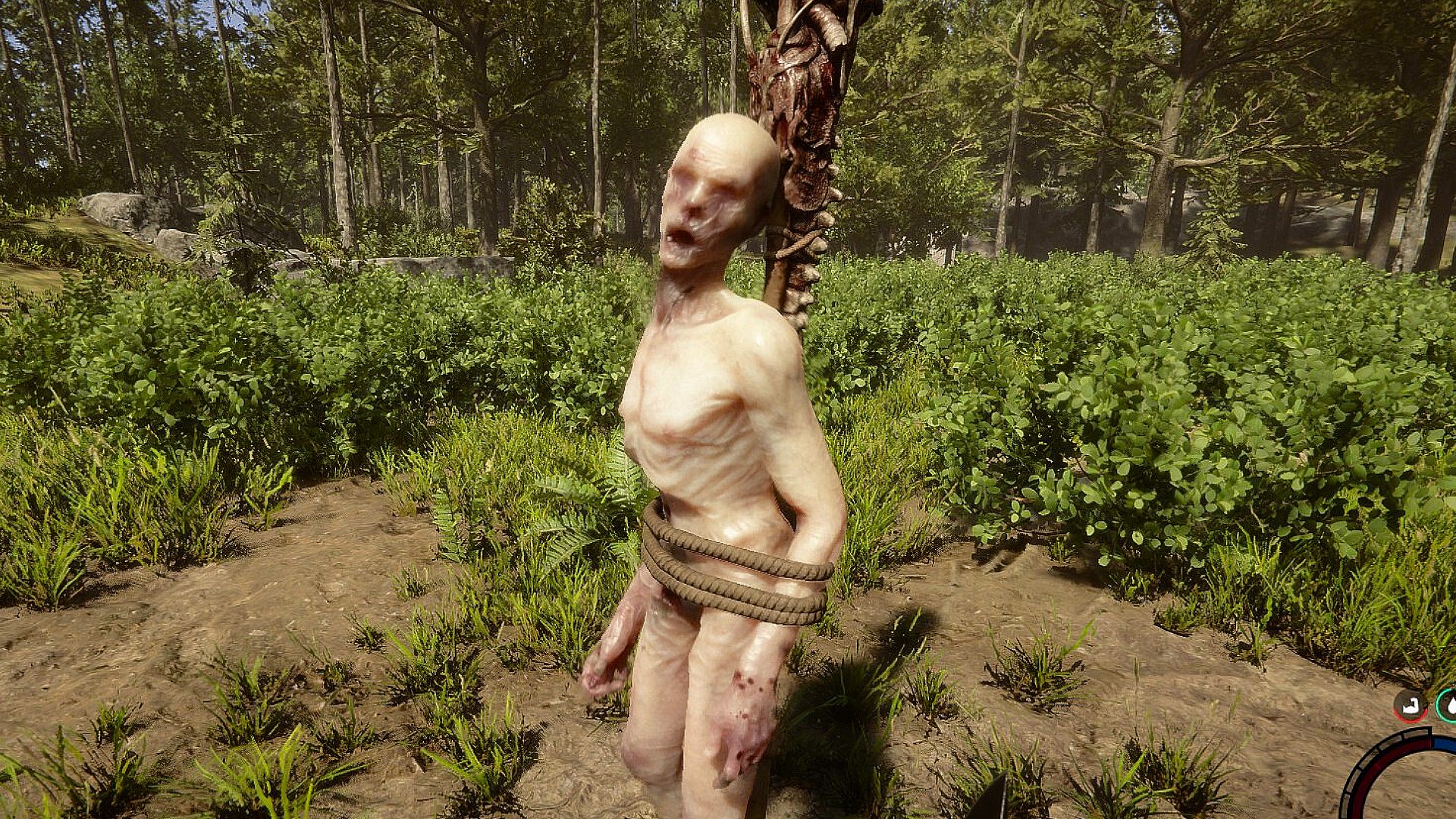 Meilleurs décors de Sons of the Forest: mutant fatigué de l'arbre dans la clairière