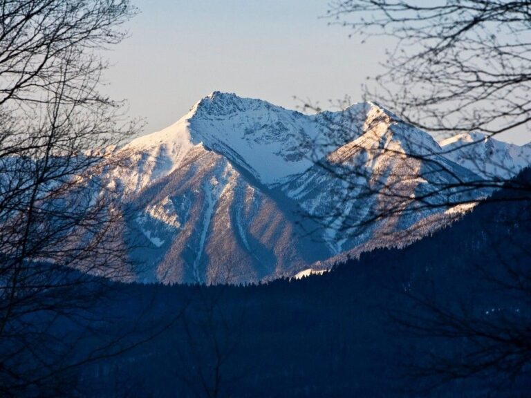 Trois skieurs morts et quatre blessés dans une avalanche près d’Invermere, en Colombie-Britannique