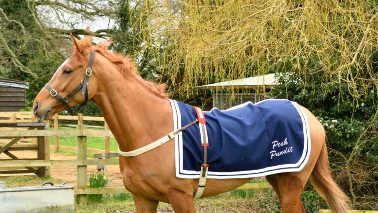 Un cheval de course nommé en l’honneur de la défunte reine trouve un ami dans un Corgi