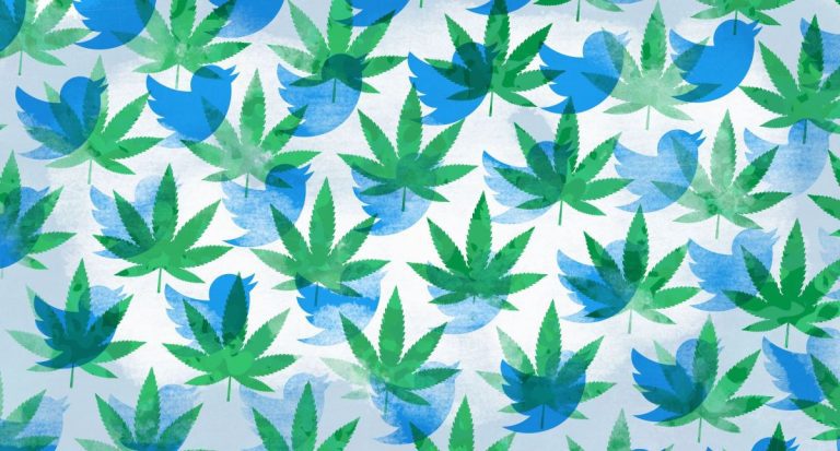 Tweetez, tweetez, passez : Twitter ouvre une opportunité de croissance naissante pour les startups du cannabis