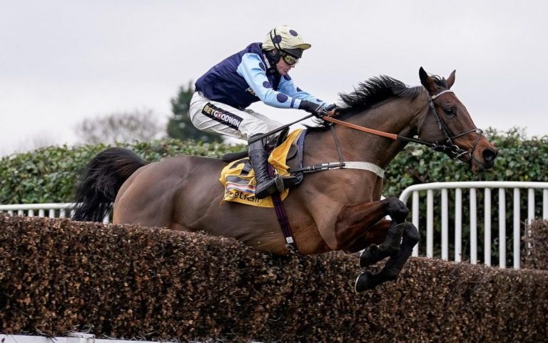 Cheltenham Queen Mother Champion Chase 2023 coureurs et cavaliers : un guide cheval par cheval