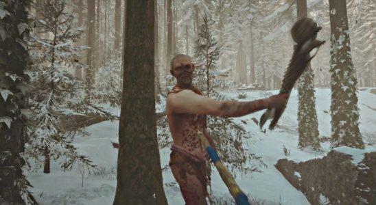 Examen de l'accès anticipé à Sons of the Forest - avide de plus