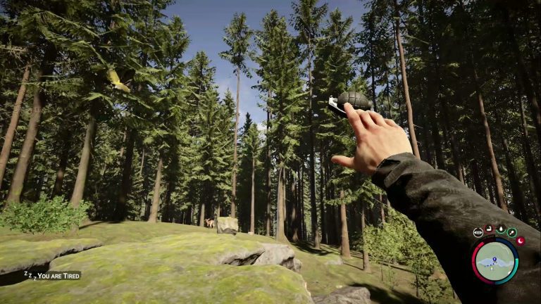 Les fils de la forêt m'ont appris le plaisir de chasser à la grenade
