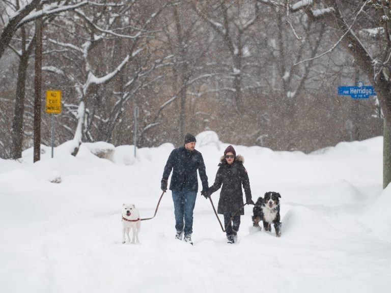 Le sud de l’Ontario fait face à plus de neige alors que les tempêtes hivernales traversent la région