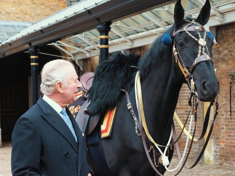 La GRC offre un cheval de manège musical au roi Charles avant son couronnement