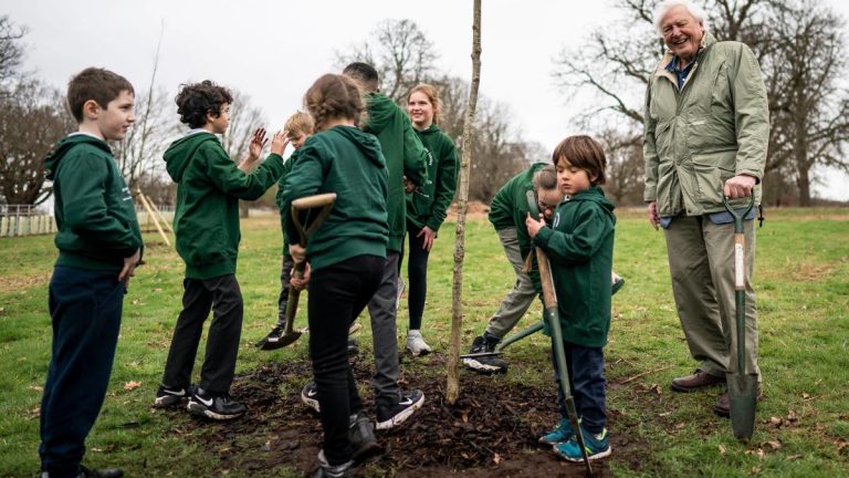 Sir David Attenborough plante un arbre pour ouvrir une forêt en l’honneur de feu la reine