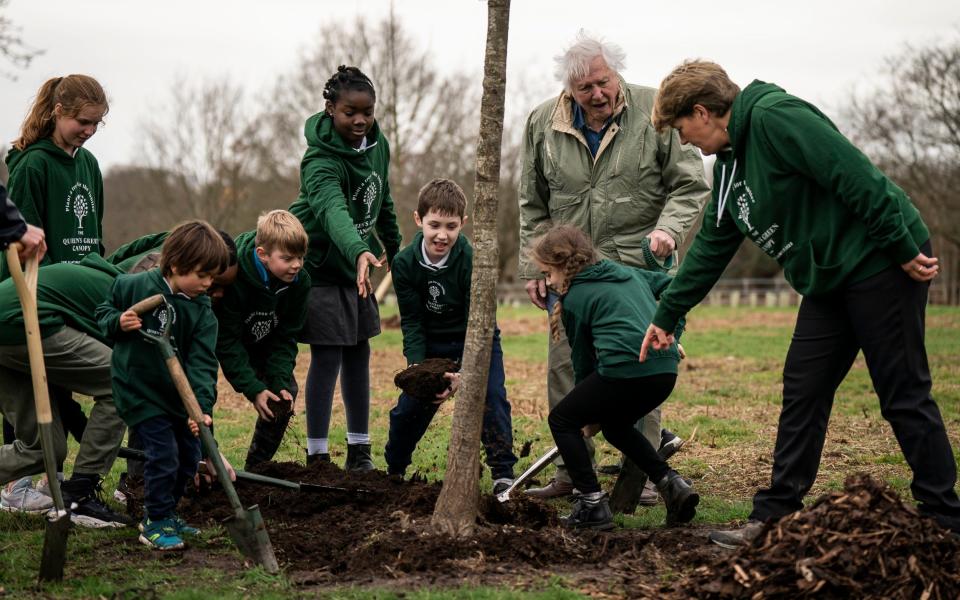 Clare Balding a également contribué au projet de Richmond Park, l'un des huit parcs royaux de Londres - Aaron Chown