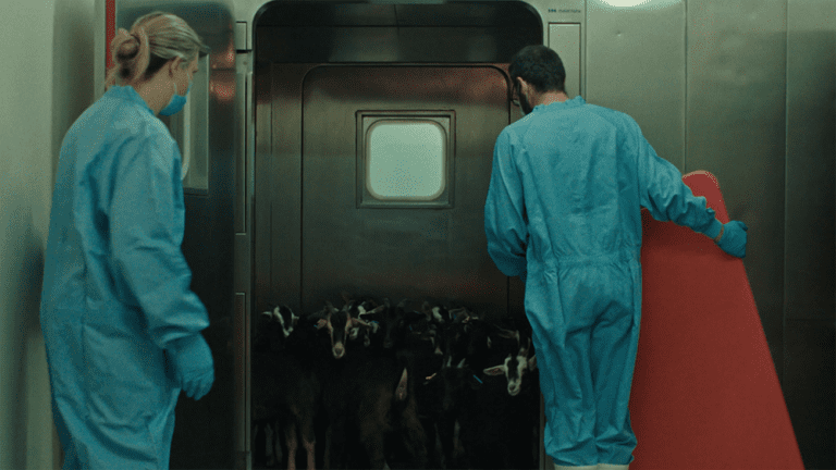 Taskovski Films reprend "Fauna" avant les premières de Visions du Réel et de Hot Docs (EXCLUSIF)
	
	
