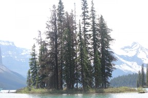 Spirit Island sur le lac Maligne dans le parc national Jasper.  IAN SHANTZ/SOLEIL DE TORONTO