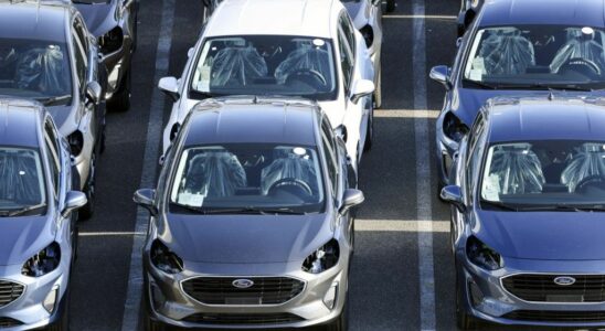 A lot of Ford cars parked together.