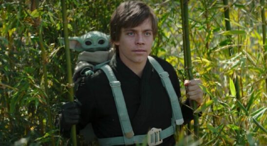 Luke and Grogu in The Book of Boba Fett.