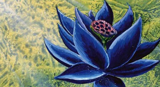 La carte Magic: The Gathering Black Lotus se vend pour un record de 540 000 $