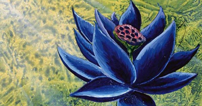 La carte Magic: The Gathering Black Lotus se vend pour un record de 540 000 $
