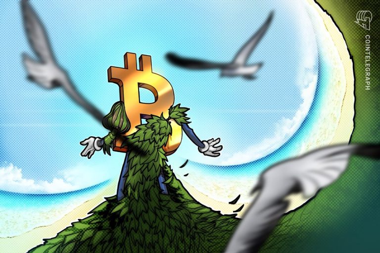 La guerre de Greenpeace contre Bitcoin engendre involontairement une nouvelle mascotte « badass »